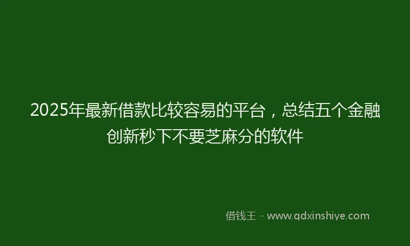 2025年最新借款比较容易的平台，总结五个金融创新秒下不要芝麻分的软件