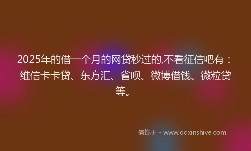 2025年的借一个月的网贷秒过的,不看征信吧有：维信卡卡贷、东方汇、省呗、微博借钱、微粒贷等。