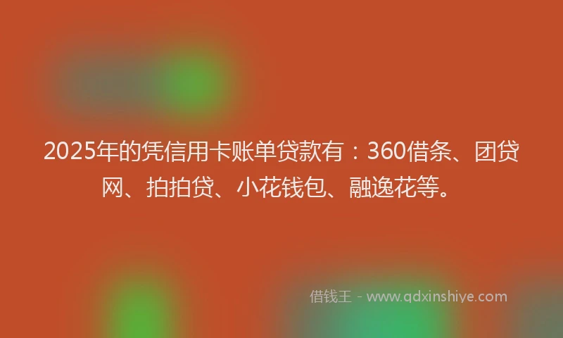 2025年的凭信用卡账单贷款有：360借条、团贷网、拍拍贷、小花钱包、融逸花等。