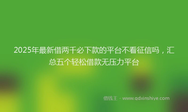 2025年最新借两千必下款的平台不看征信吗，汇总五个轻松借款无压力平台