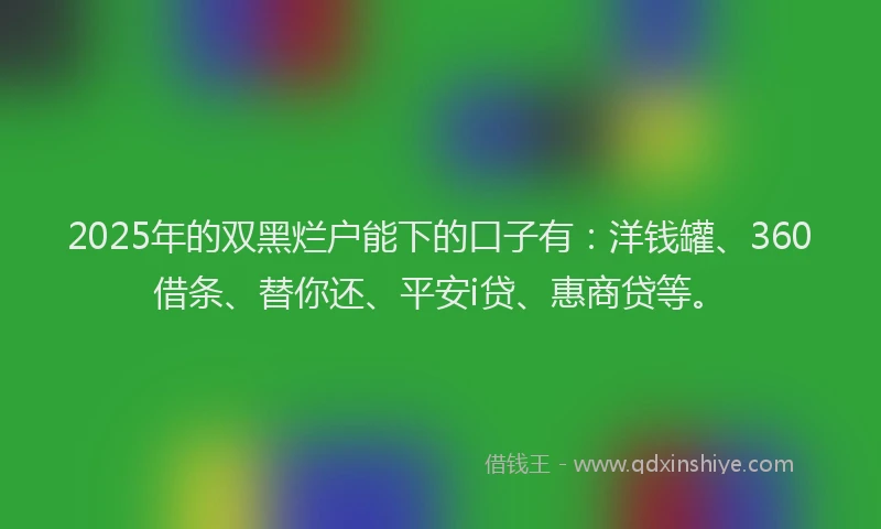 2025年的双黑烂户能下的口子有：洋钱罐、360借条、替你还、平安i贷、惠商贷等。