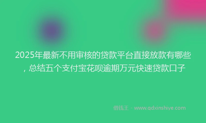 2025年最新不用审核的贷款平台直接放款有哪些，总结五个支付宝花呗逾期万元快速贷款口子