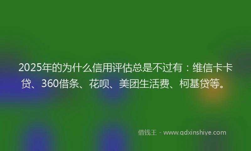 2025年的为什么信用评估总是不过有：维信卡卡贷、360借条、花呗、美团生活费、柯基贷等。