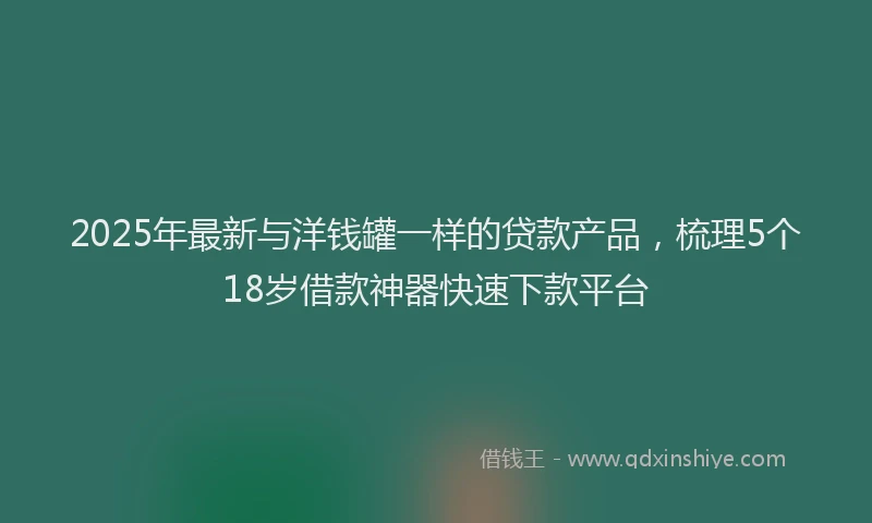 2025年最新与洋钱罐一样的贷款产品，梳理5个18岁借款神器快速下款平台