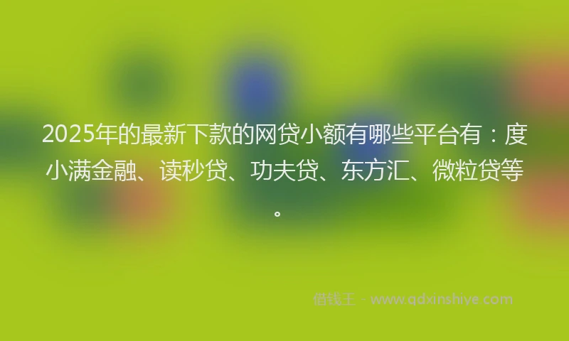 2025年的最新下款的网贷小额有哪些平台有：度小满金融、读秒贷、功夫贷、东方汇、微粒贷等。