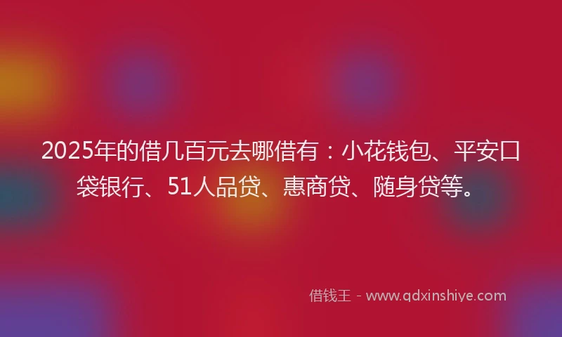 2025年的借几百元去哪借有：小花钱包、平安口袋银行、51人品贷、惠商贷、随身贷等。