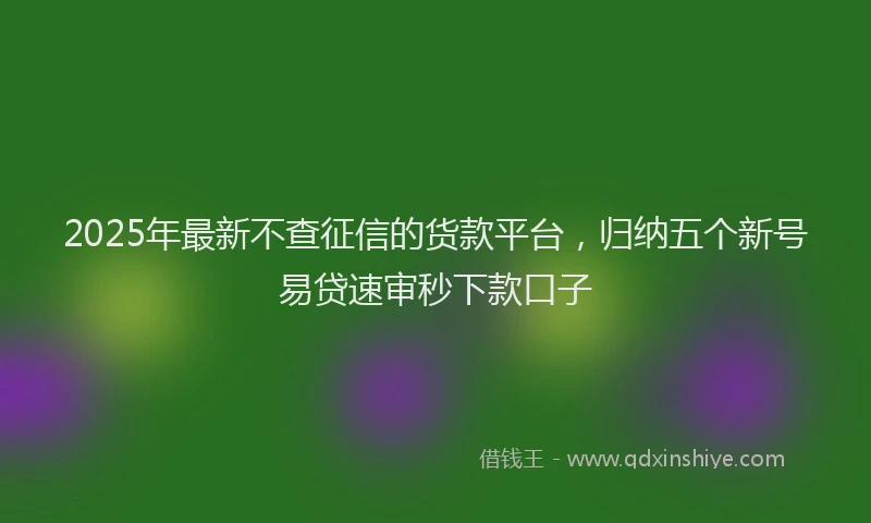 2025年最新不查征信的货款平台，归纳五个新号易贷速审秒下款口子