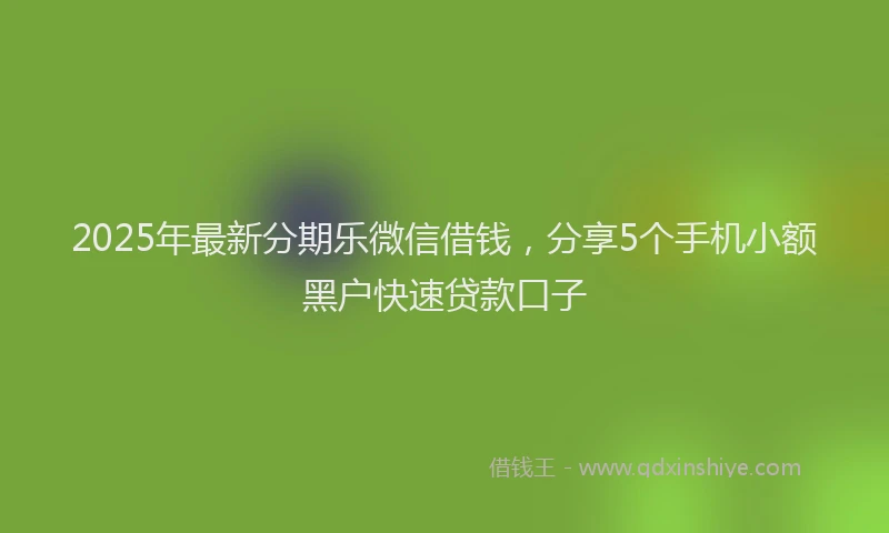 2025年最新分期乐微信借钱，分享5个手机小额黑户快速贷款口子