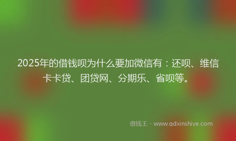2025年的借钱呗为什么要加微信有：还呗、维信卡卡贷、团贷网、分期乐、省呗等。