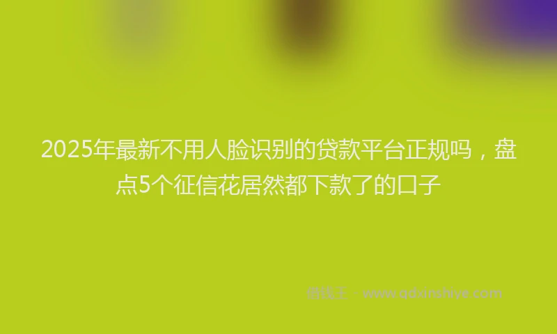 2025年最新不用人脸识别的贷款平台正规吗，盘点5个征信花居然都下款了的口子