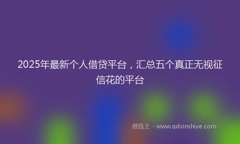 2025年最新个人借贷平台，汇总五个真正无视征信花的平台