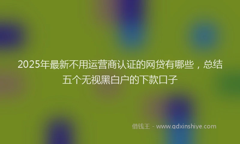 2025年最新不用运营商认证的网贷有哪些，总结五个无视黑白户的下款口子