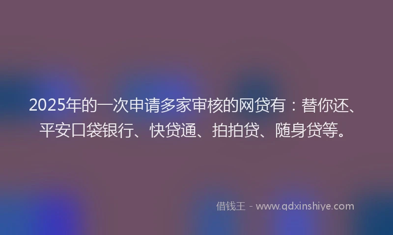 2025年的一次申请多家审核的网贷有：替你还、平安口袋银行、快贷通、拍拍贷、随身贷等。