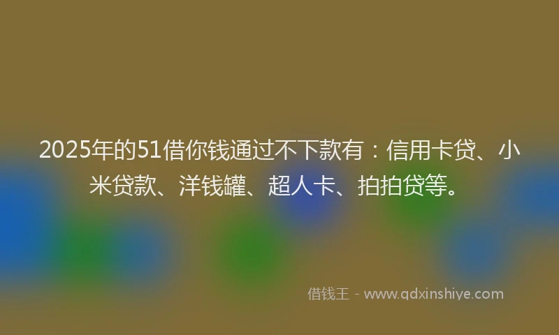 2025年的51借你钱通过不下款有：信用卡贷、小米贷款、洋钱罐、超人卡、拍拍贷等。