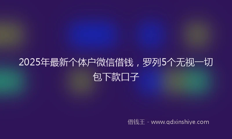 2025年最新个体户微信借钱，罗列5个无视一切包下款口子