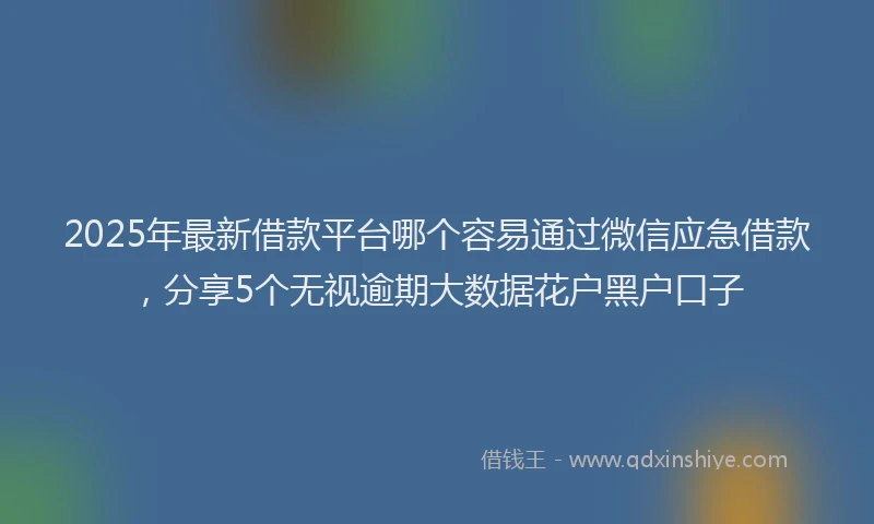 2025年最新借款平台哪个容易通过微信应急借款，分享5个无视逾期大数据花户黑户口子
