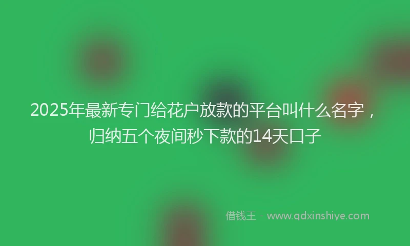 2025年最新专门给花户放款的平台叫什么名字，归纳五个夜间秒下款的14天口子