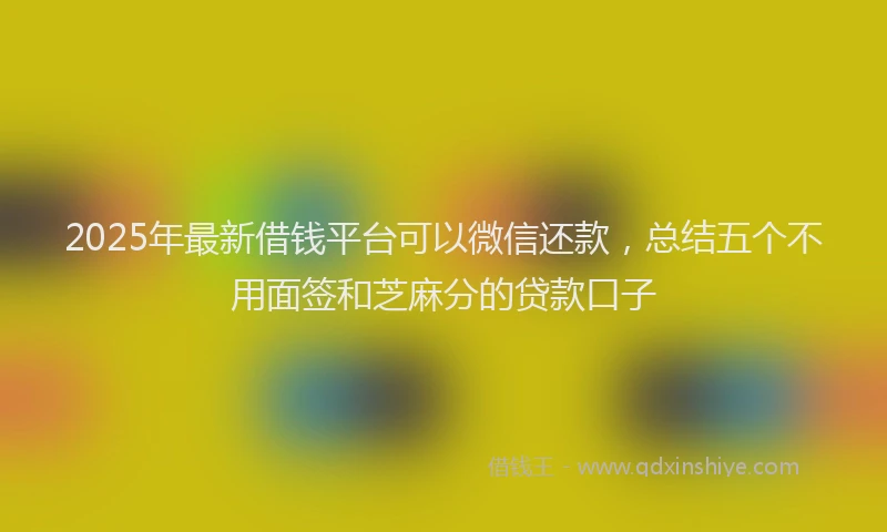 2025年最新借钱平台可以微信还款，总结五个不用面签和芝麻分的贷款口子