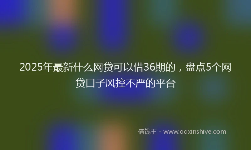 2025年最新什么网贷可以借36期的，盘点5个网贷口子风控不严的平台