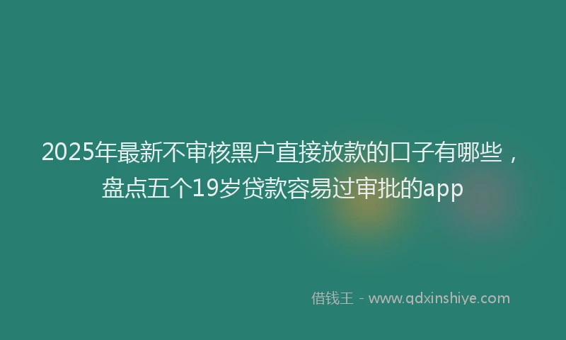 2025年最新不审核黑户直接放款的口子有哪些，盘点五个19岁贷款容易过审批的app