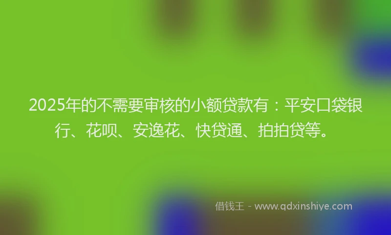 2025年的不需要审核的小额贷款有：平安口袋银行、花呗、安逸花、快贷通、拍拍贷等。