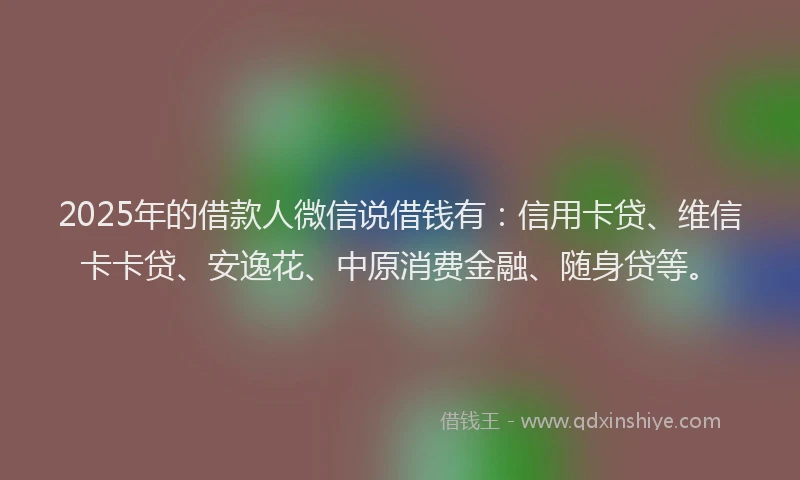 2025年的借款人微信说借钱有：信用卡贷、维信卡卡贷、安逸花、中原消费金融、随身贷等。
