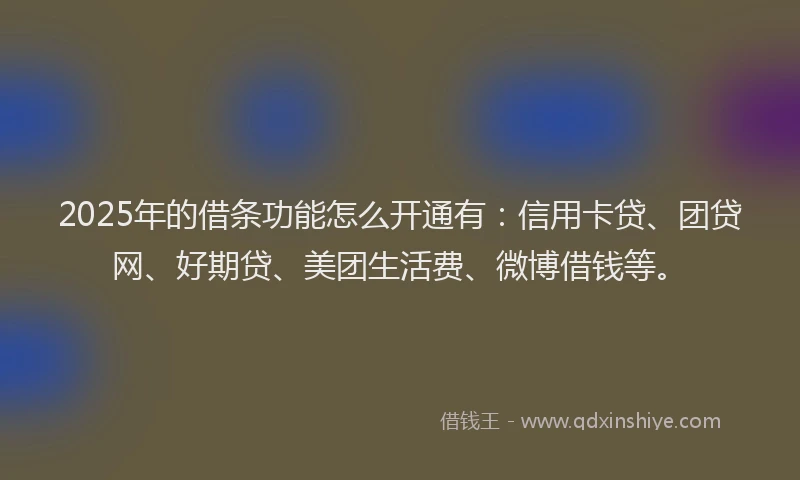 2025年的借条功能怎么开通有：信用卡贷、团贷网、好期贷、美团生活费、微博借钱等。