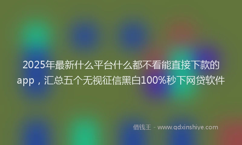 2025年最新什么平台什么都不看能直接下款的app，汇总五个无视征信黑白100%秒下网贷软件