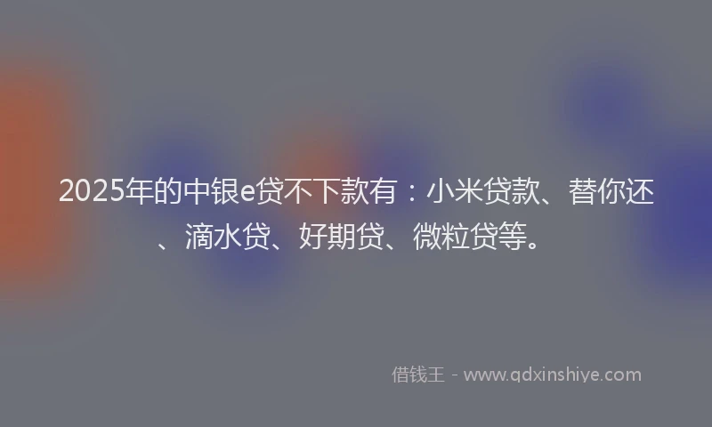 2025年的中银e贷不下款有：小米贷款、替你还、滴水贷、好期贷、微粒贷等。