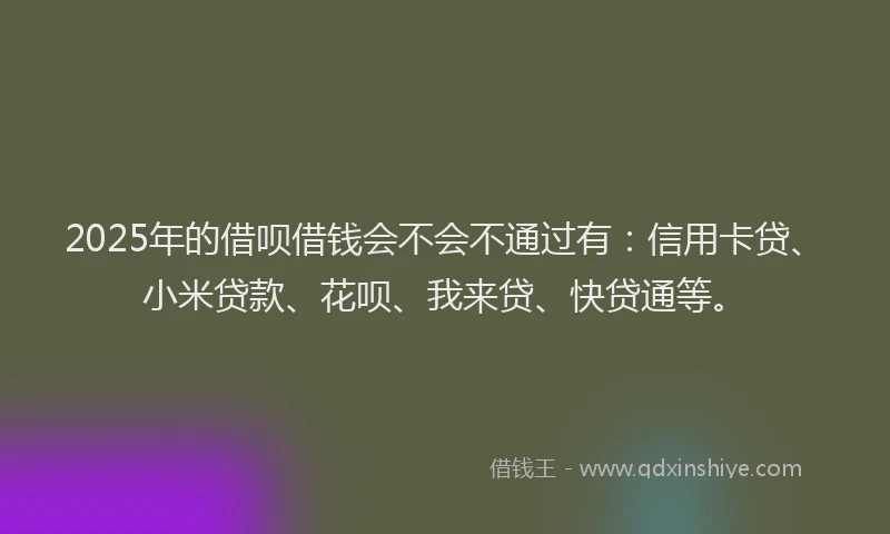 2025年的借呗借钱会不会不通过有：信用卡贷、小米贷款、花呗、我来贷、快贷通等。