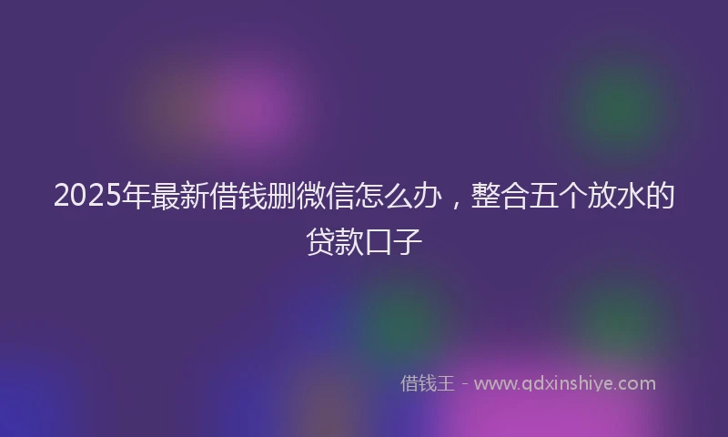 2025年最新借钱删微信怎么办，整合五个放水的贷款口子
