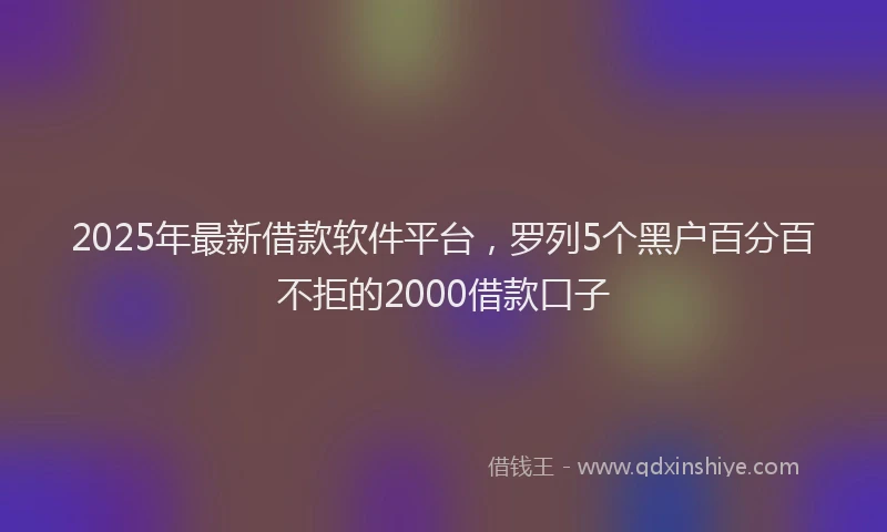 2025年最新借款软件平台，罗列5个黑户百分百不拒的2000借款口子