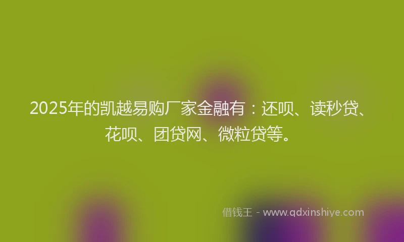 2025年的凯越易购厂家金融有：还呗、读秒贷、花呗、团贷网、微粒贷等。