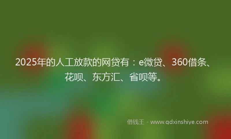 2025年的人工放款的网贷有：e微贷、360借条、花呗、东方汇、省呗等。
