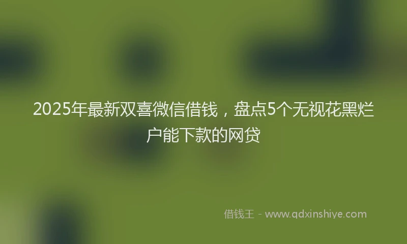2025年最新双喜微信借钱，盘点5个无视花黑烂户能下款的网贷