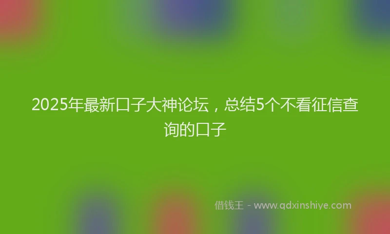 2025年最新口子大神论坛，总结5个不看征信查询的口子