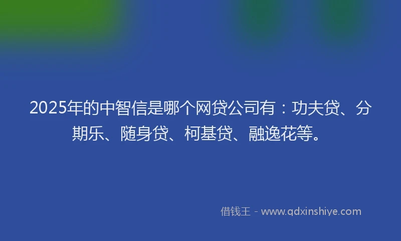 2025年的中智信是哪个网贷公司有：功夫贷、分期乐、随身贷、柯基贷、融逸花等。