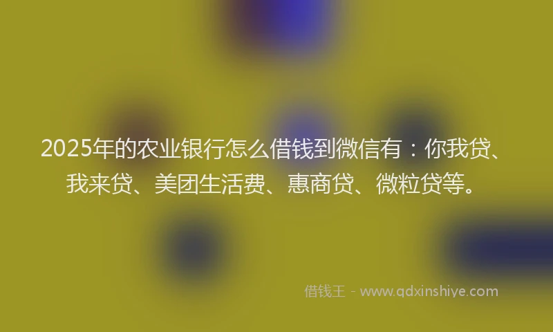 2025年的农业银行怎么借钱到微信有：你我贷、我来贷、美团生活费、惠商贷、微粒贷等。