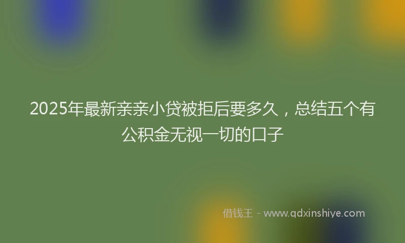 2025年最新亲亲小贷被拒后要多久，总结五个有公积金无视一切的口子