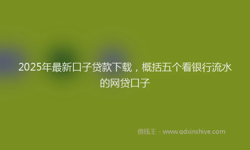 2025年最新口子贷款下载，概括五个看银行流水的网贷口子