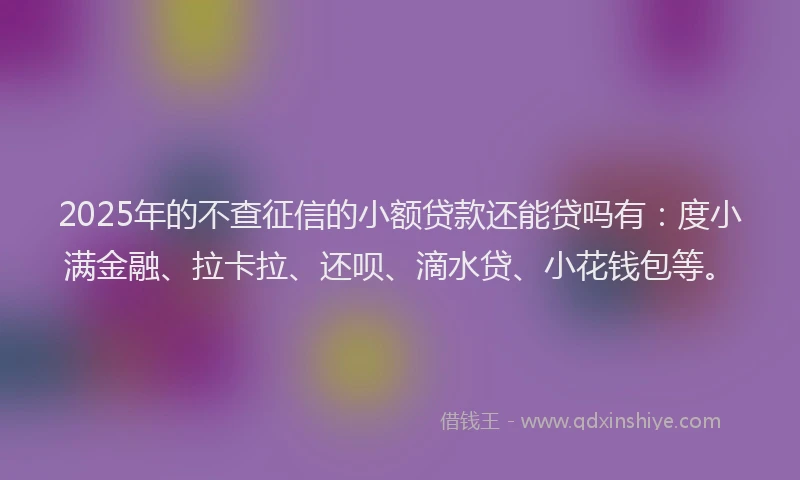 2025年的不查征信的小额贷款还能贷吗有：度小满金融、拉卡拉、还呗、滴水贷、小花钱包等。