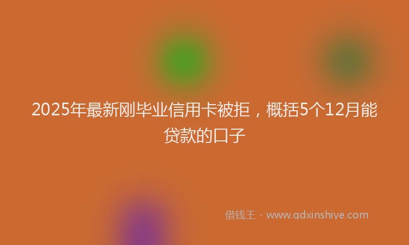 2025年最新刚毕业信用卡被拒，概括5个12月能贷款的口子