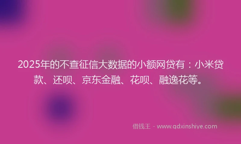 2025年的不查征信大数据的小额网贷有：小米贷款、还呗、京东金融、花呗、融逸花等。