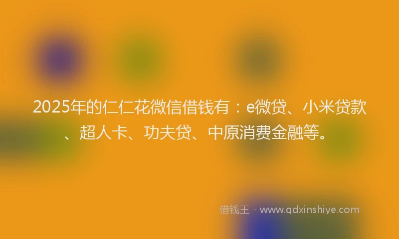 2025年的仁仁花微信借钱有：e微贷、小米贷款、超人卡、功夫贷、中原消费金融等。