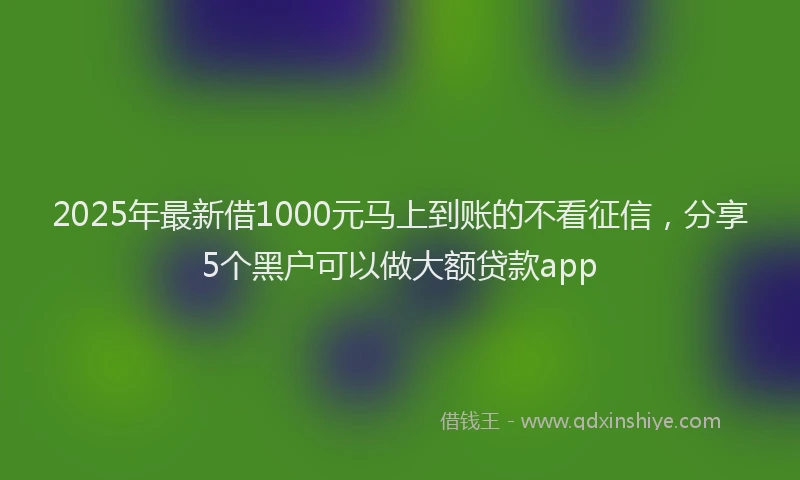 2025年最新借1000元马上到账的不看征信，分享5个黑户可以做大额贷款app
