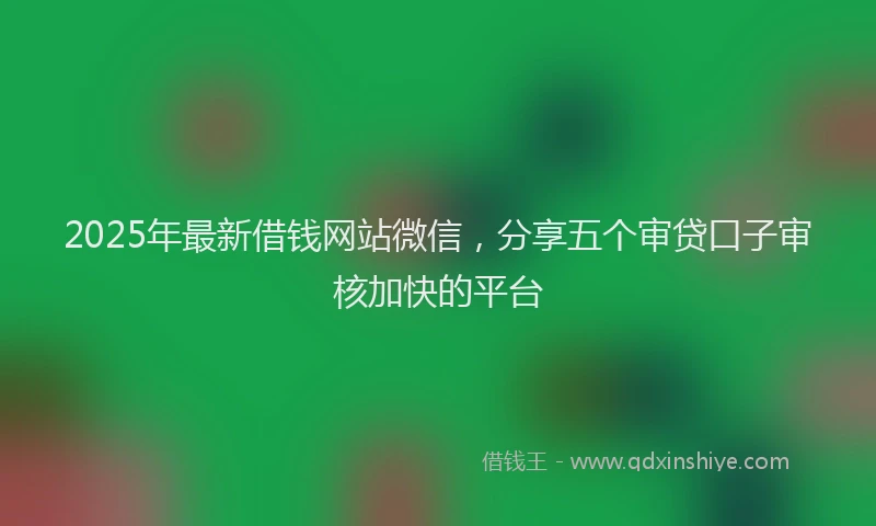 2025年最新借钱网站微信，分享五个审贷口子审核加快的平台