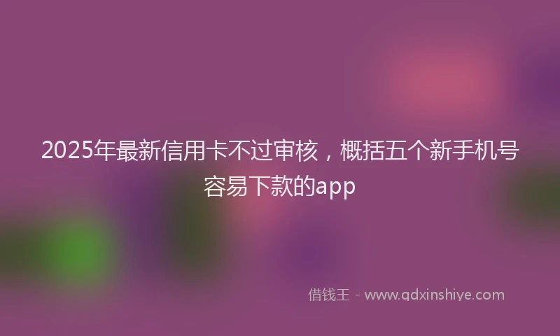 2025年最新信用卡不过审核，概括五个新手机号容易下款的app