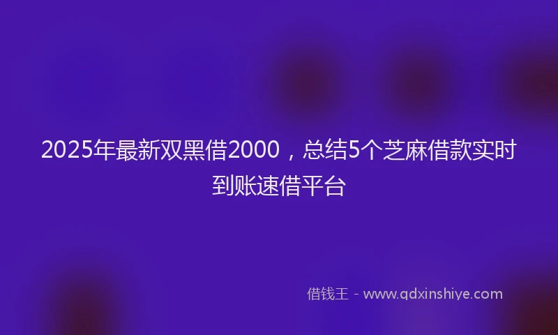2025年最新双黑借2000，总结5个芝麻借款实时到账速借平台