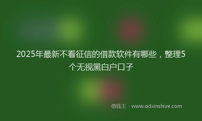 2025年最新不看征信的借款软件有哪些，整理5个无视黑白户口子