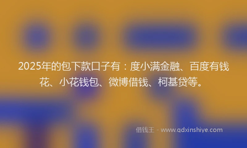 2025年的包下款口子有：度小满金融、百度有钱花、小花钱包、微博借钱、柯基贷等。